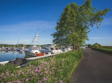 safe harbor haverstraw