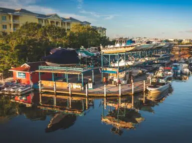 aerial view of safe harbor siesta key