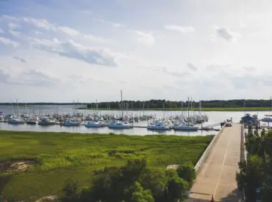 wide view of boats docked in a marina