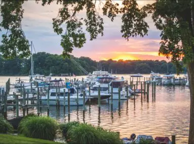 marina at great oak landing