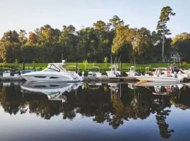 boats tied up to a dock with trees in the background