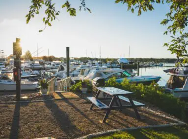 picnic bench next to a harbor