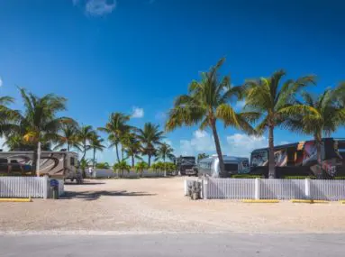 marathon rv park with palm trees