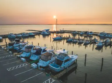 boats in a marina at sunset