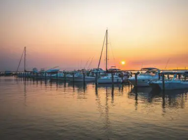 marina with a lot of boats at sunset