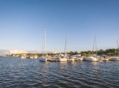 wide view of marina on a sunny day
