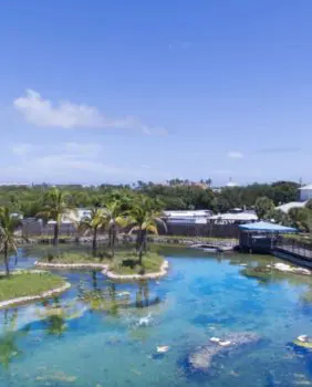 Florida ocean center