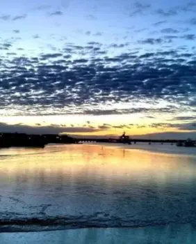 Marina Variety water