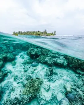 reefs underwater and island
