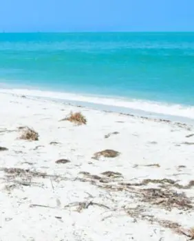 beach with clear water