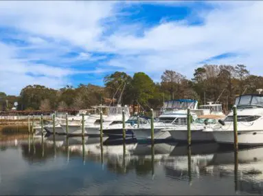 boats in slips at marina