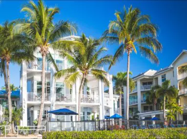 big white housing with palm trees