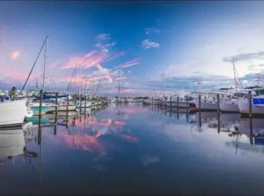 calm water with boats docked