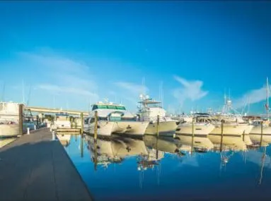 boats docked in slips