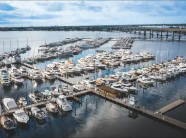 lots of boats in slips