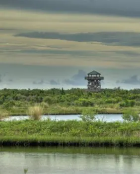 marsh and lighthouse