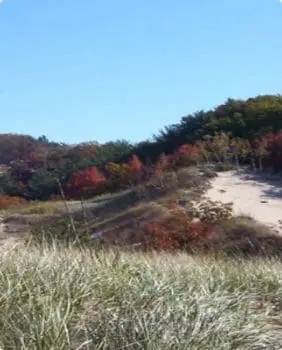 sandy and grassy hill