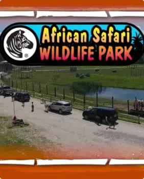 cars lined with emus at their sides