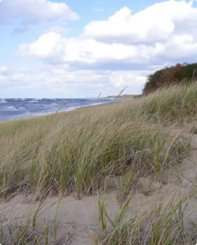 grassy and sandy hill