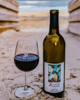 a full glass and bottle of wine on sand