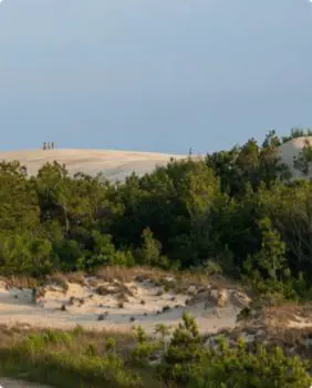 sand dunes