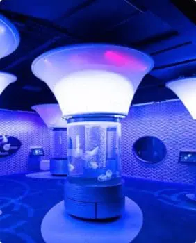 cylinder fish tanks illuminated blue