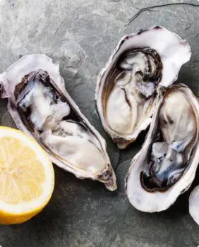 oysters