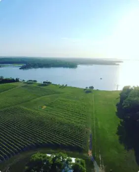 vineyard by the water