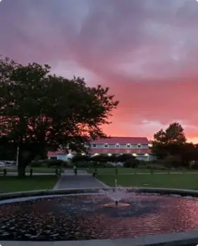 pink skies and a fountain