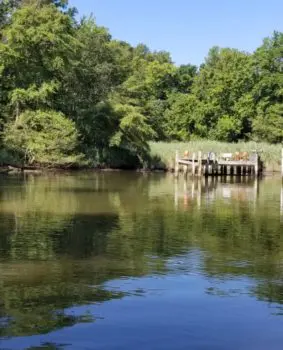 small boardwalk on water