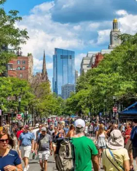 street with buildings and trees