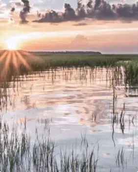 marsh and sunset