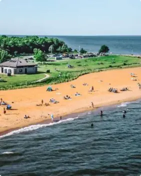 beach with people in water