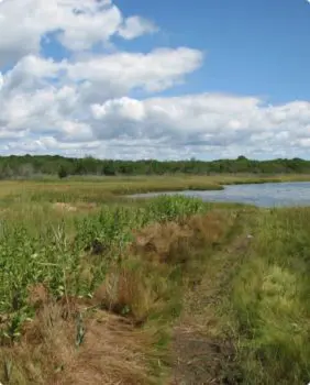 aerial view of wildlife refuge