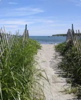 pathway on a beach