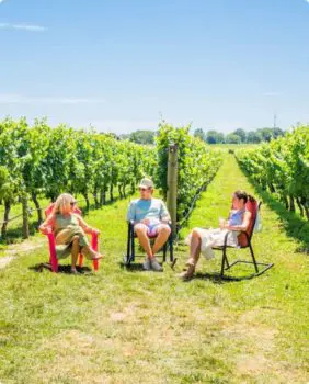 3 people sitting in front of a vineyard