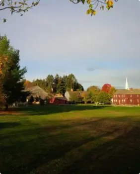 green field with buildings in the distance