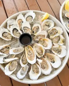 oysters