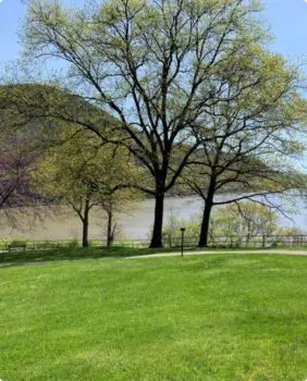 park with green grass and trees