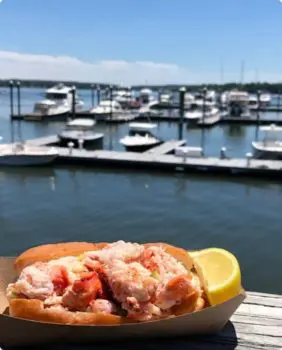 lobster roll