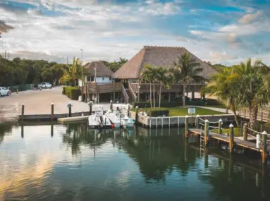 marina with palm trees and calm water