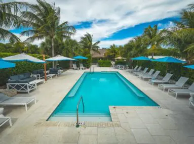 pool with chairs around it and palm trees in the background