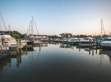 boats in a marina