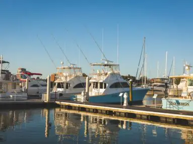 boats docked in a marina