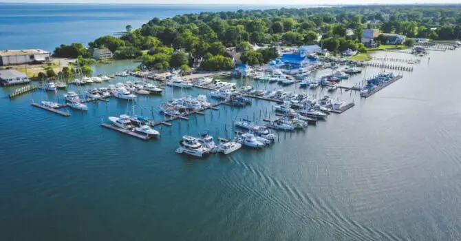 wide view of many boats docked in a marina