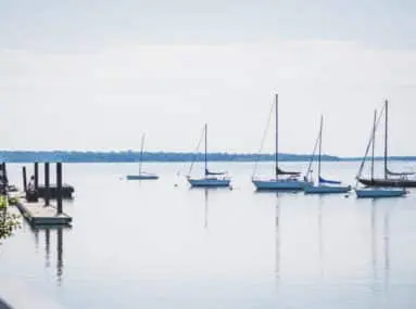 6 sailboats anchored in a bay