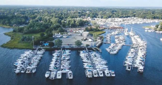 Aerial view of rows of boats docked at marina