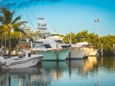 fishing boats docked in the water surrounded by trees