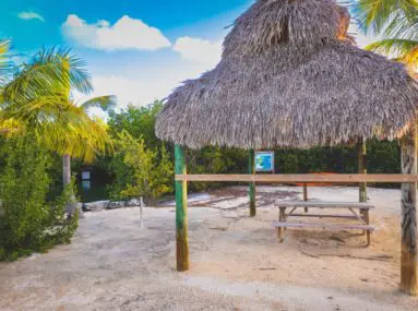 tiki hut with palm trees and a picnic table