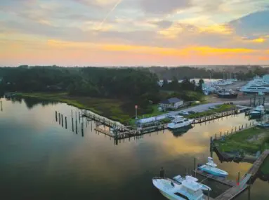 calm water surrounded by trees with sunset